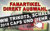 Trikots, Caps, Schals, Flaggen und Wimpel für deine Fan-Party bei Dir zu hause.